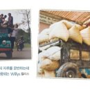 연상농장 이미지