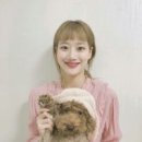 더나은 티스토리