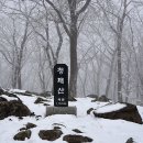 풀꽃을보다