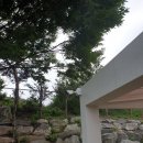 경성시큐리티