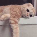 여주-0502 이미지