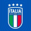 이탈리아 대표팀 새 엠블럼 이미지