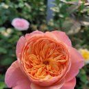 열매세탁소 이미지