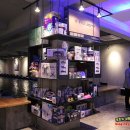 마온리 358-2번지 앞 | [광주 낚시카페] 충장로 엔젤피쉬 낚시카페 후기