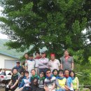 정철농장 이미지