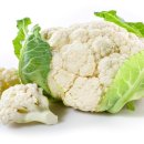 세보식품 이미지