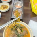 정담푸드 | 동탄역맛집 추천 정담국밥 본점 순대곱창전골 후기