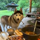 스테이 하구 이미지