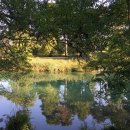 연세오원석신경과의원 이미지