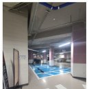 수 골프 앤 짐 | 체계적으로 배우기 시작한 송도골프연습장 웨스턴 골프앤짐 후기