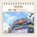 싱싱해물특공대 | 기장 시장 맛집 기장 대게 맛집 &#39; 대게하우스 &#39; 방문 후기