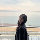 엠(M)모텔 | 시흥 거북섬 호텔 오션뷰 스파스위트 하운드호텔 가성비