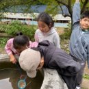 달콩과일 - 수원시 장안구 이목로 24-9 | 우리들 자연학교 10월 1주 차 일요일 주말 숲학교 달콩이샘반 수업 후기