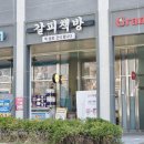 북카페 "갈피책방" 추천 길거리 토스트가 맛있는 동네 아지트! ​화성시 청년지원센터 다락방 카페 방문후기