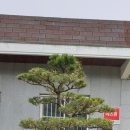 철마우체국 이미지