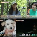 윤승농장 티스토리