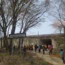 대숲여행 이미지