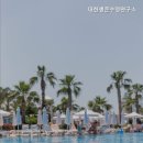 대한생존수영연구소