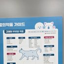대구대형약국 수성구메가타운약국 수성점 방문후기