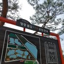 불갑농촌테마공원 | 영광 산림 박물관 방문 후기