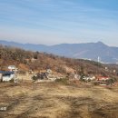 남양평주유소