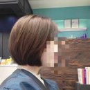 헤어26일오전