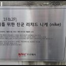 니케프로헤어