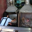 자갈치꼼장어 이미지