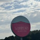 벼리농장 | 제주 브런치 카페 🥪 노바운더리 아기랑 가기좋은 소금빵맛집 후기