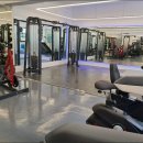 더 어반 핏 이미지