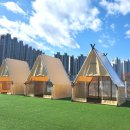 아이조아펫파크 대구점 이미지