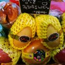 수지과일사랑