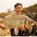 부남호/간월호 6월11일 45cm45cm 주말초대박조황 이미지