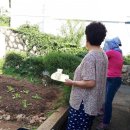 삼정할머니경로당 네이버블로그