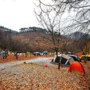 달숲 이미지