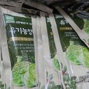 광선축산 | 유기농 양배추즙!냄새없고 아이들도 먹기편한 '자연의품격' 내돈내산 후기