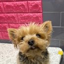 벨라동물병원 이미지