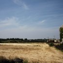 하모리-14 이미지