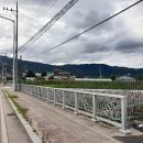 대룡산주유소 이미지