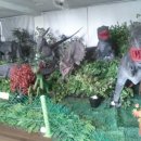 경산공룡박물관 이미지