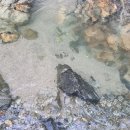 성주다온펜션 이미지