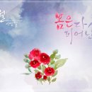 시샘달