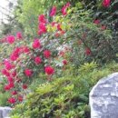 은사 행정사사무소 이미지