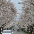 경주 둥지가족펜션 | 경주 여행 한옥펜션 둥지가족펜션 경주 단체 숙박 가족 숙소