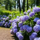 한성탑행정사 합동사무소 이미지