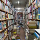 사이서가 이미지