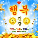 Harmony-ca | [캘리포니아] 1월 일상