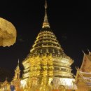 (유)플러스건설 | 치앙마이 투어 도이수텝 사원 야경 왓우몽 반일코스
