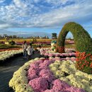 연천군청입구 이미지