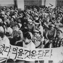 미사무역